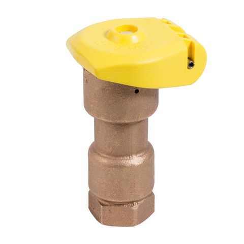 RAINBIRD Quick Coupling Valve (QCV) #5LRC 25mm