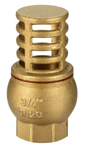 FOOT VALVE BRASS 50