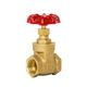 Gate Valves