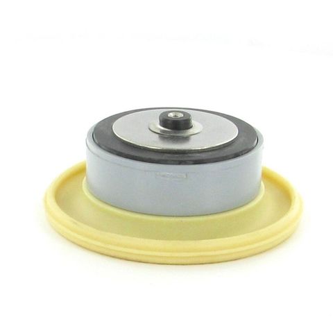 Diaphragm assy RICHDEL 216