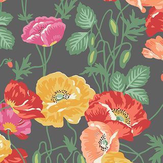 POPPIES - JUNE 2023
