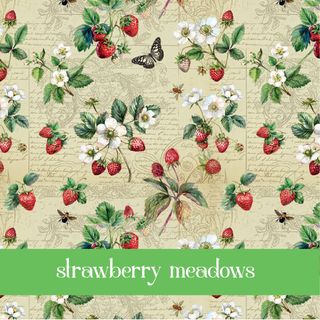 STRAWBERRY MEADOWS - FEBRUARY 2026