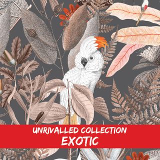 UNRIVALLED COLLECTION : EXOTIC - FEBRUARY 2023