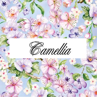 CAMELLIA - MAY 2023