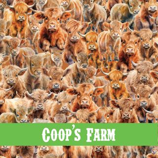 COOPS FARM - NOVEMBER 2024