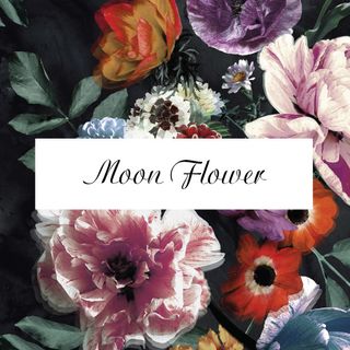 MOON FOWER - FEBRUARY 2025