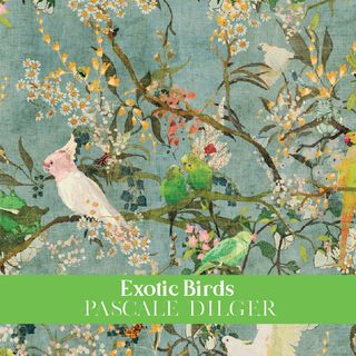 EXOTIC BIRDS - SEPTEMBER 2026