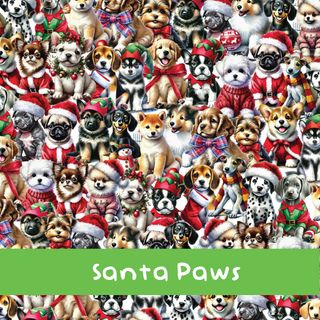 SANTA PAWS - MAY 2025