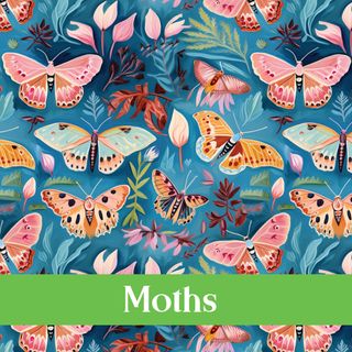 MOTHS - SEPTEMBER 2024