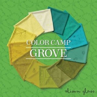COLOUR CAMP - GROVE - AUGUST 2026