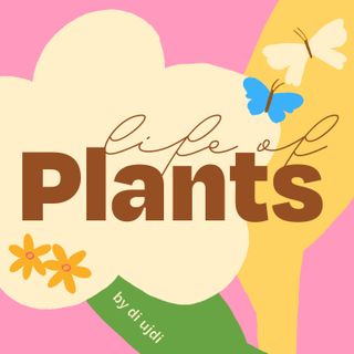 LIFE OF PLANTS - JULY 2024