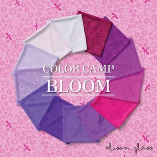 COLOUR CAMP - BLOOM - SEPTEMBER 2026