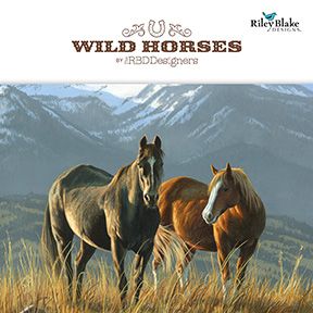 WILD HORSES - NOVEMBER 2024