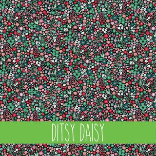 DITSY DAISY