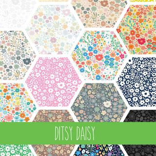 DITSY DAISY - NOVEMBER 2025