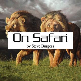 ON SAFARI - JULY 2024