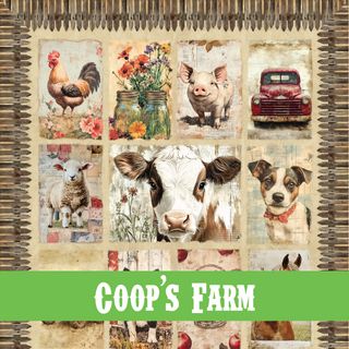 COOPS FARM - OCTOBER