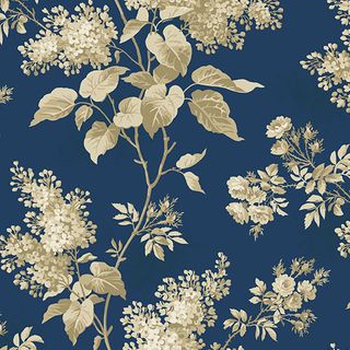 BLUE SKY 108S - APRIL 2026