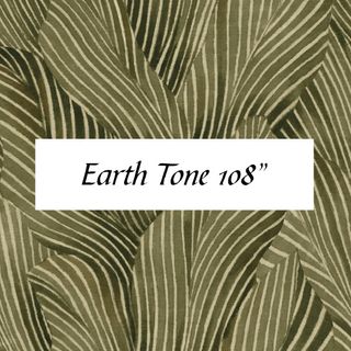 EARTH TONE 108 - MARCH 2025