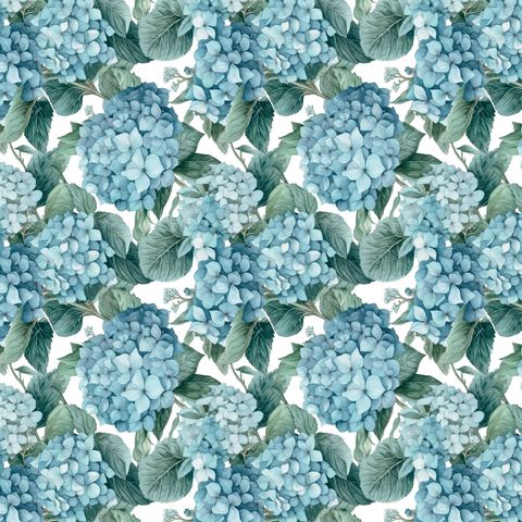 NORA'S NURSERY HYDRANGEA
