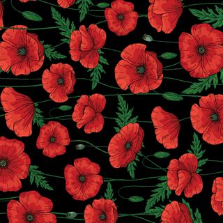 NORA'S NURSERY POPPIES 108"