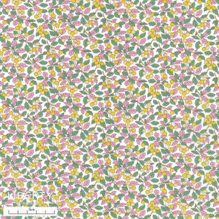 TANA LAWN SS25 COLLEEN'S ORCHARD A