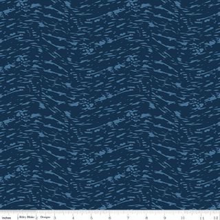 OCEAN OASIS WAVES NAVY