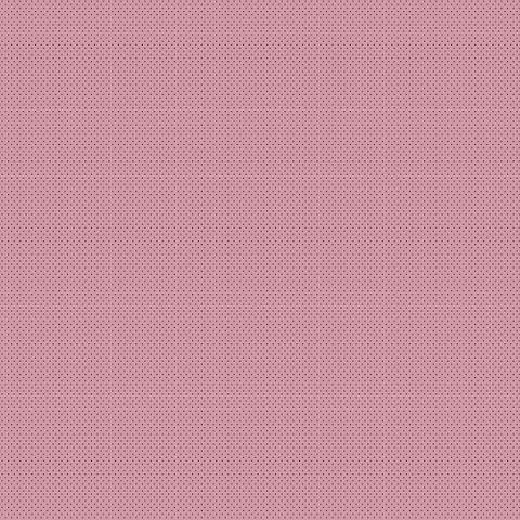 FORGET-ME-NOT ROSE MARGOT PINK