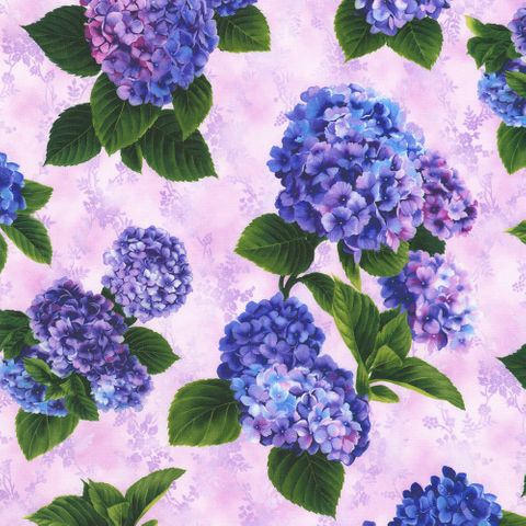 HYDRANGEA GRACE