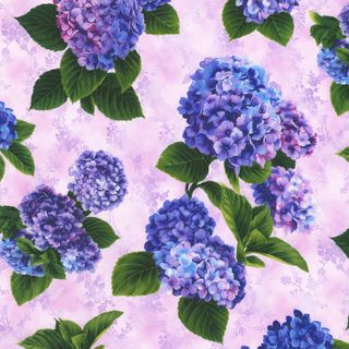 HYDRANGEA GRACE