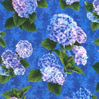 HYDRANGEA GRACE