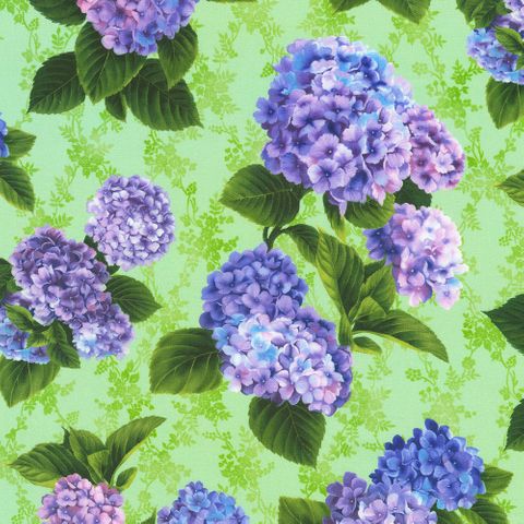 HYDRANGEA GRACE