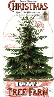 CLASSIC CHRISTMAS 24" X 43" CHRISTMAS BOTANICAL MA