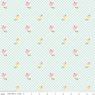 SUMMER SKIES AND FIREFLIES CONE FLOWERS WHITE