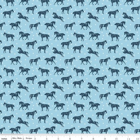 BLUEGRASS CHARM HORSES SKY