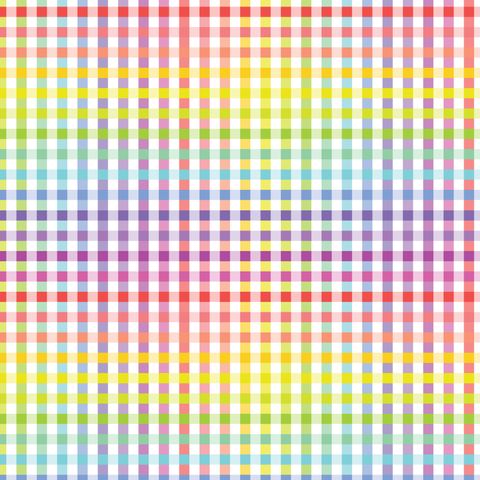 FUNDAMENTALS 1/4 CHECK RAINBOW