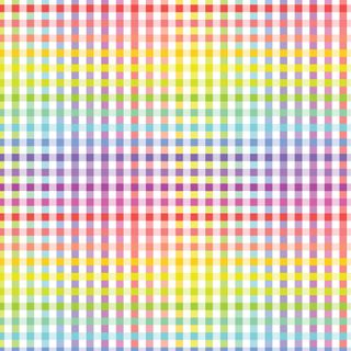 FUNDAMENTALS 1/4 CHECK RAINBOW