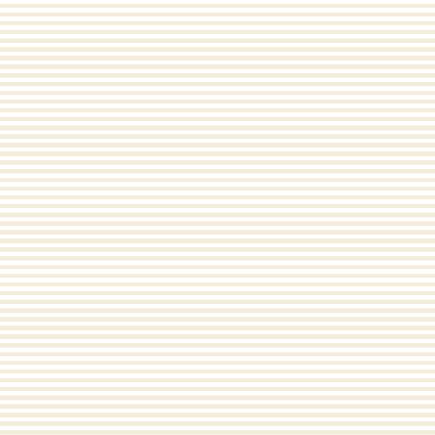 FUNDAMENTALS 1/8 STRIPE N/CREAM