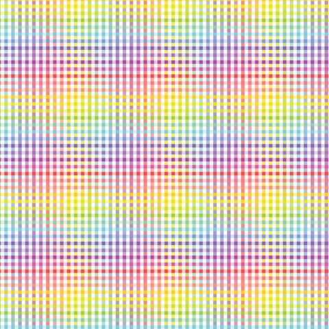 FUNDAMENTALS 1/8 CHECK RAINBOW