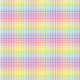 FUNDAMENTALS 1/8 CHECK RAINBOW