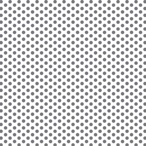 FUNDAMENTALS 1/4 SPOT B/GREY