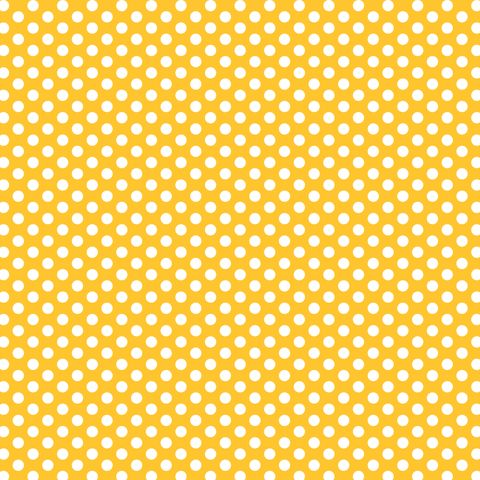 FUNDAMENTALS 1/4 SPOT SUNNY SIDE UP