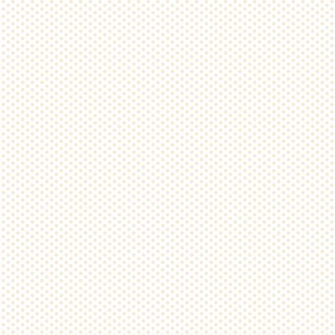 FUNDAMENTALS 1/8 SPOT N/CREAM