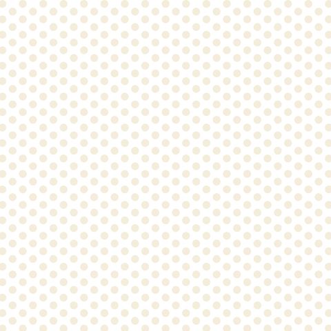 FUNDAMENTALS 1/4 SPOT N/CREAM