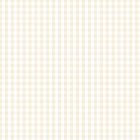 FUNDAMENTALS 1/4 CHECK N/CREAM