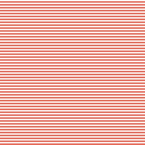FUNDAMENTALS 1/8 STRIPE GEORGIA