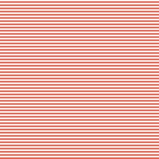FUNDAMENTALS 1/8 STRIPE GEORGIA