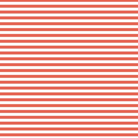 FUNDAMENTALS 1/4 STRIPE GEORGIA