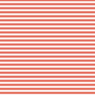 FUNDAMENTALS 1/4 STRIPE GEORGIA