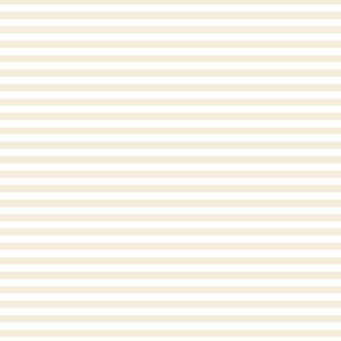 FUNDAMENTALS 1/4 STRIPE N/CREAM